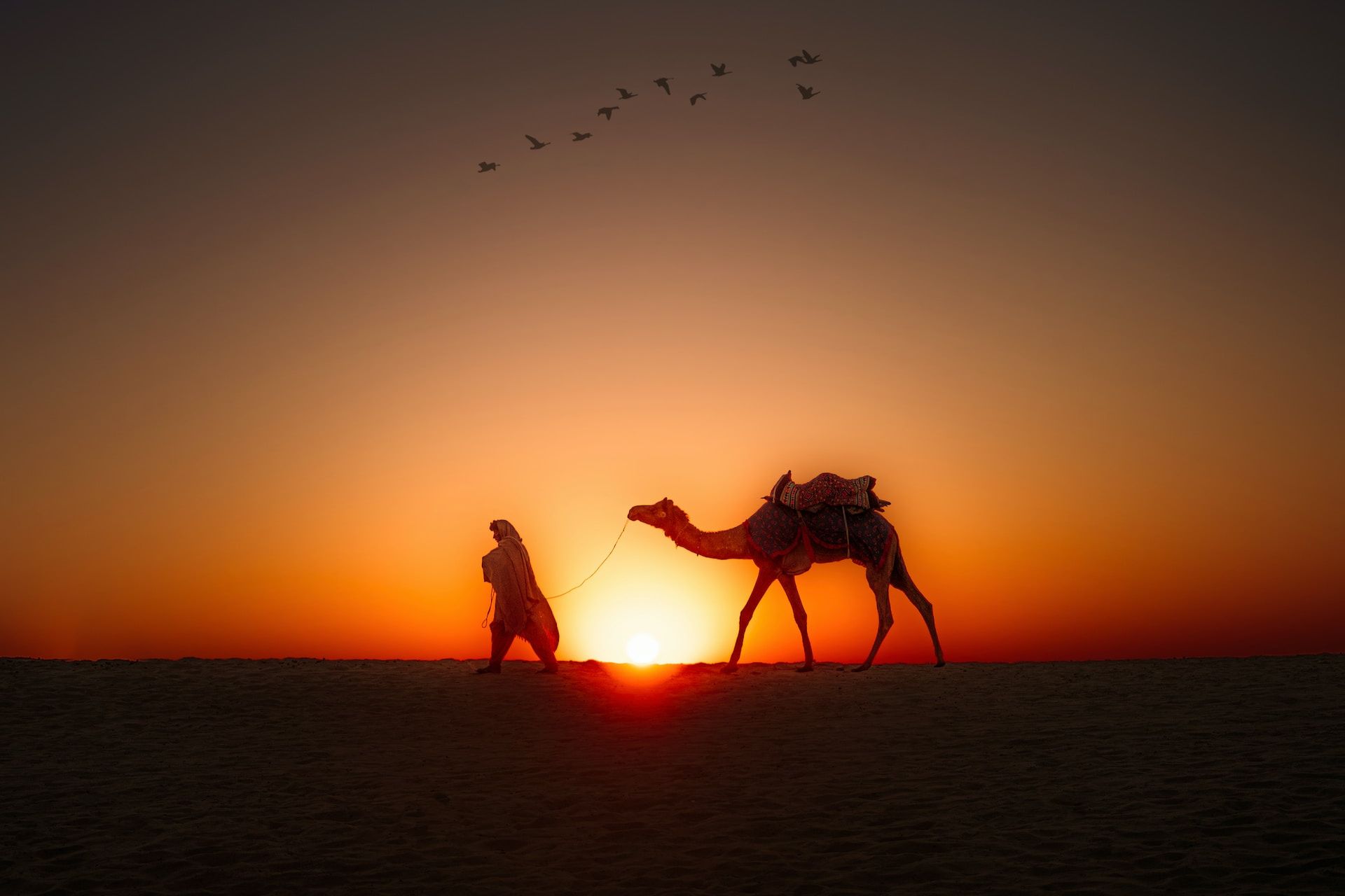 desert tents